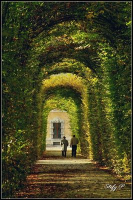 Quattro passi in giardino (reloaded)