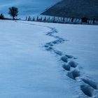 quattro passi nel blu