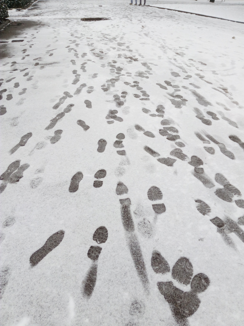 Quattro passi nella neve