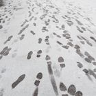 Quattro passi nella neve