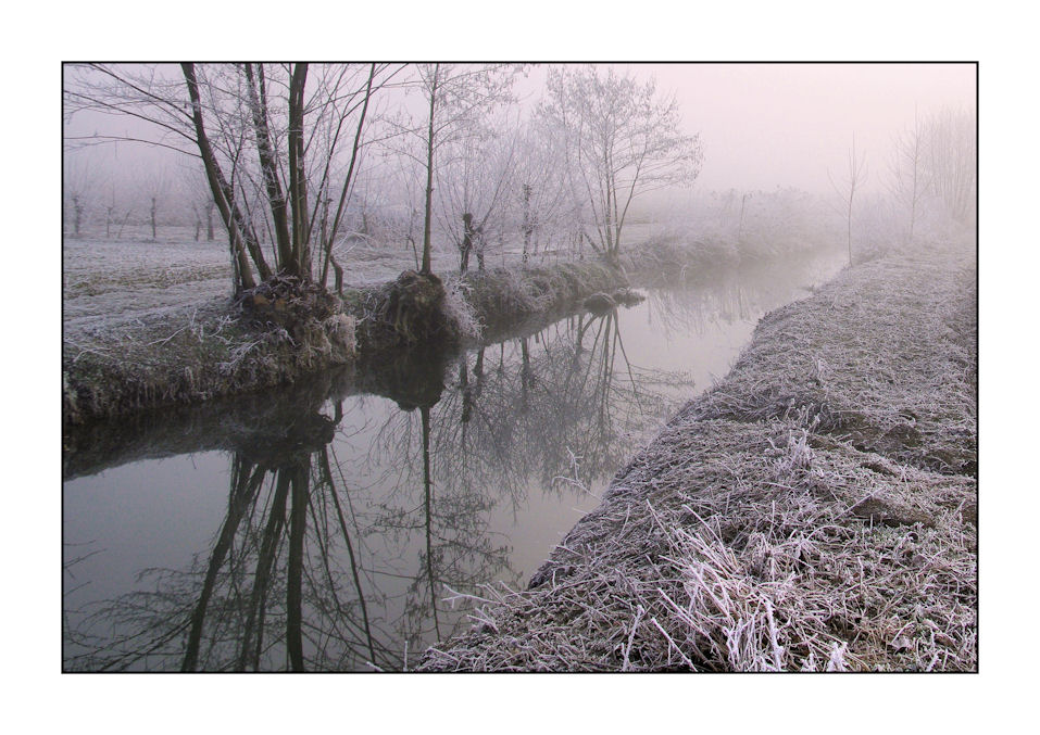 QUATTRO PASSI UN MATTINO D'INVERNO  # 1