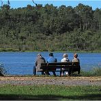 Quatuor contemplatif