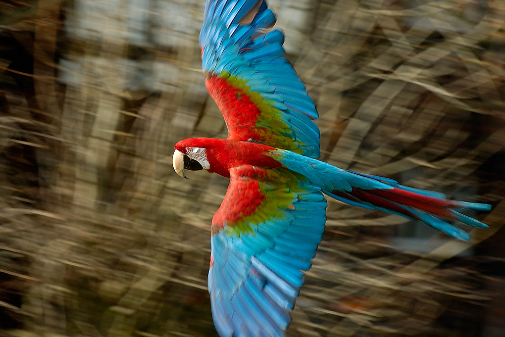 Quax im Blindflug