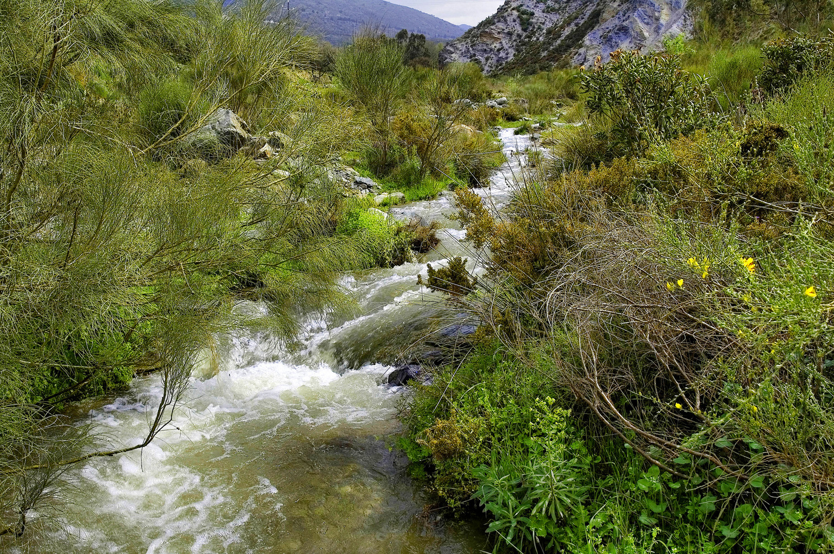 ...QUE ALEGRÍA QUE LA NIEVE PURA SE CONVIERTA EN AGUA...