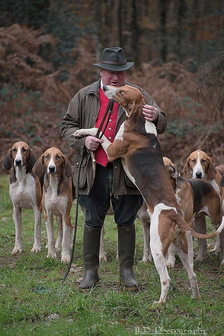 Que d amour envers ses chiens