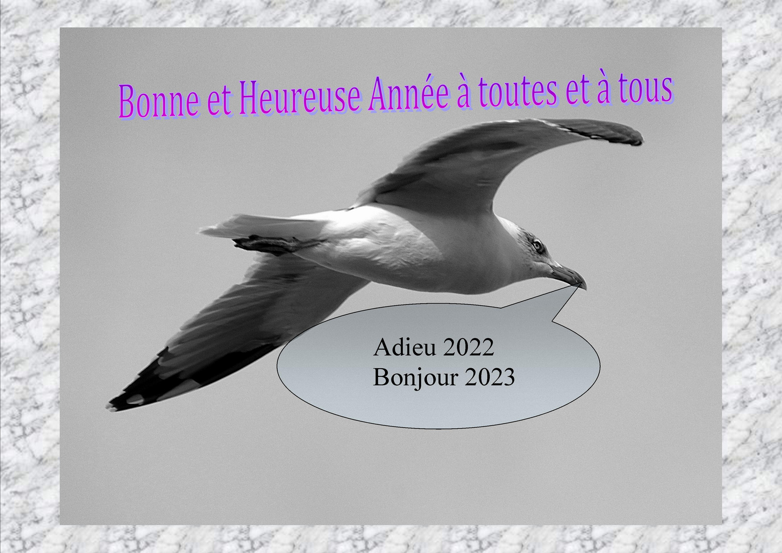 Que de bonnes choses pour 2023 !!!