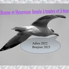 Que de bonnes choses pour 2023 !!!