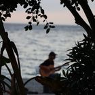 ¿Qué es la vida?  Lo que tú quieres que sea.