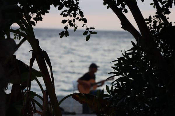 ¿Qué es la vida?  Lo que tú quieres que sea.