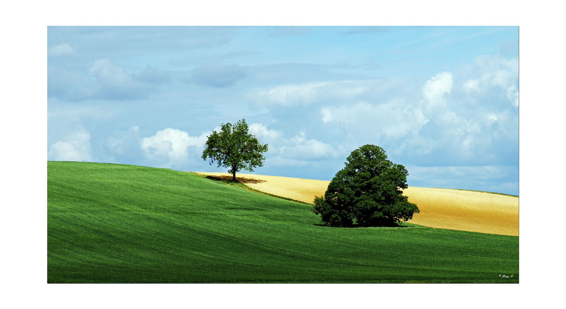 Que la campagne est belle