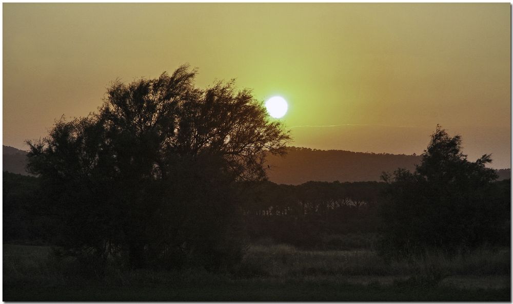 Que va cayendo la tarde VII