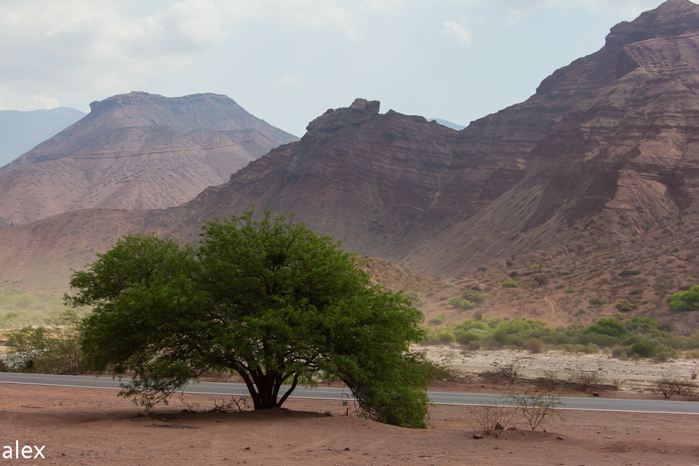 Quebrada de Cafayate