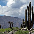 Quebrada de Humahuaca 10...............