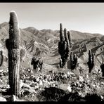 QUEBRADA DE HUMAHUACA