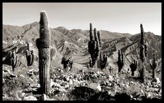 QUEBRADA DE HUMAHUACA