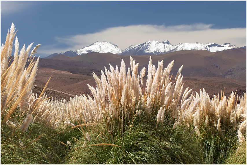 Quebrada del Rio Purifica #1, chilenischer Altiplano