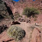 Quebrade de Cafayate - Foto 203