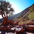 Quebrade de Cafayate - Foto 205