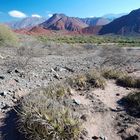 Quebrade de Cafayate - Foto 206