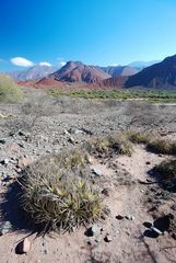 Quebrade de Cafayate - Foto 206