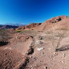 Quebrade de Cafayate - Foto 210