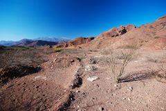 Quebrade de Cafayate - Foto 210