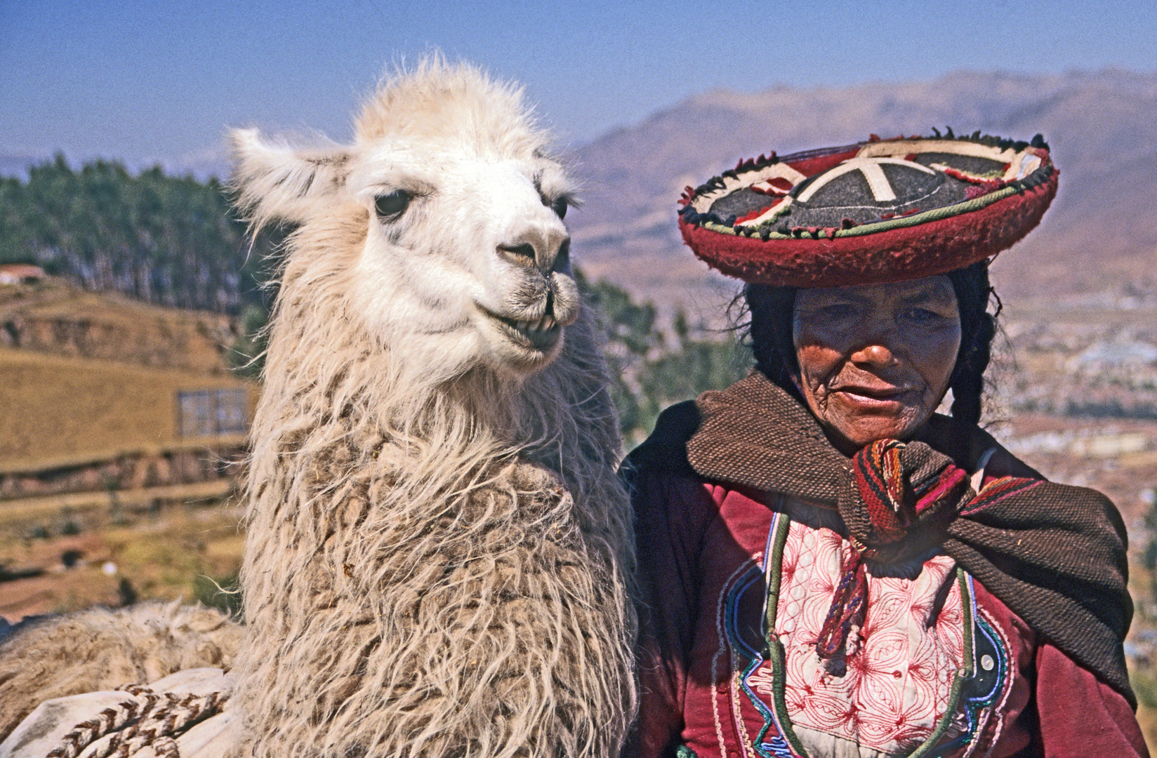 Quechua-Indianerin mit Lama, Cuzco, Peru