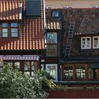 Quedlinburg (5)