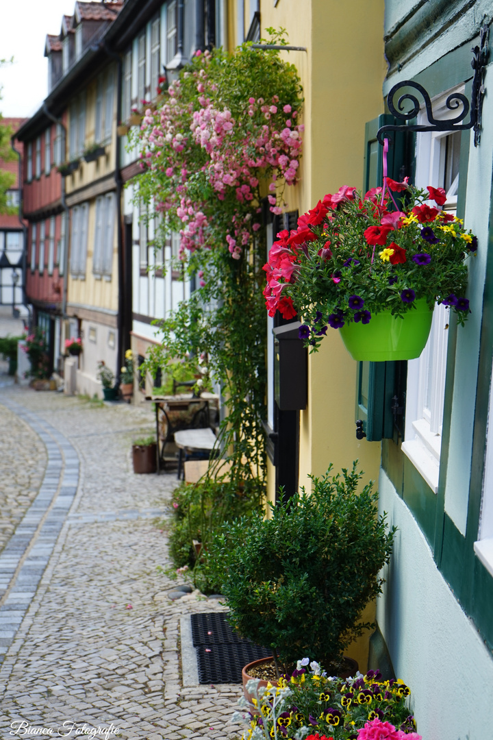 Quedlinburg