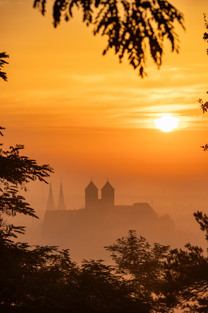 Quedlinburg im Nebel