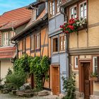 Quedlinburg IV - Harz-Vorland (Sachs.-Anh.)