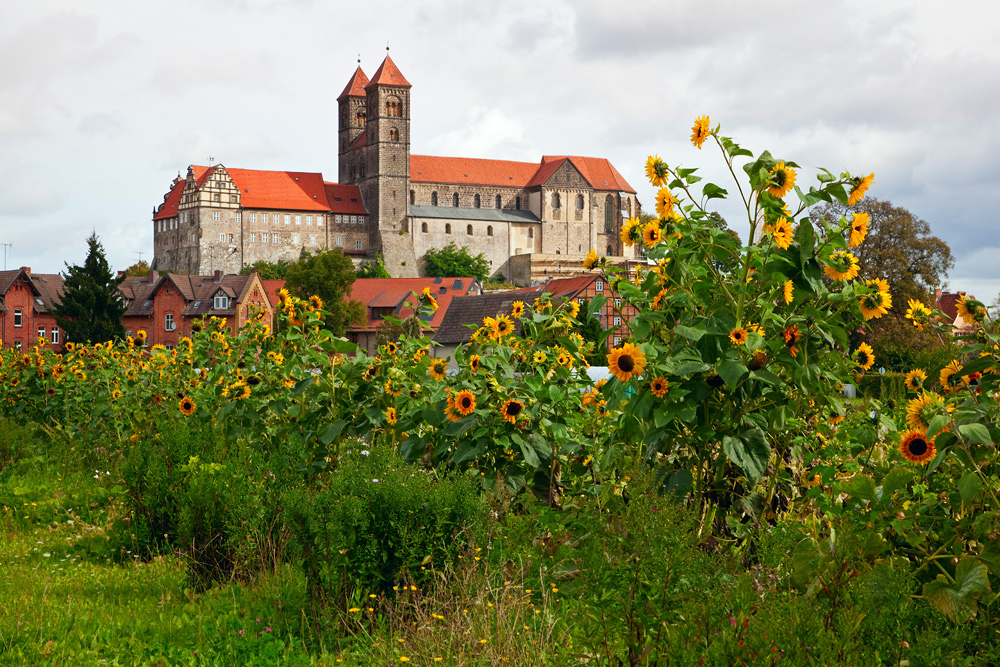 Quedlinburg - Schloss und Stiftskirche vom Abteigarten gesehen