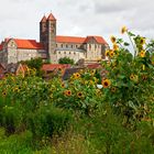 Quedlinburg - Schloss und Stiftskirche vom Abteigarten gesehen