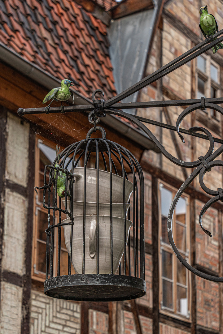 Quedlinburg XIII - Harz-Vorland (Sachs.-Anhalt)