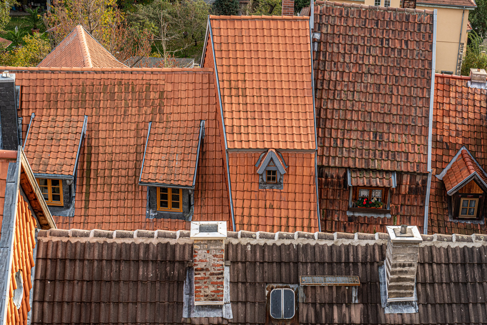 Quedlinburg XVII - Harz-Vorland (Sachs.-Anhalt)