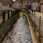 Quedlinburg/Ostharz VI