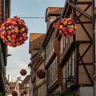 Quedlinburg/Ostharz VII