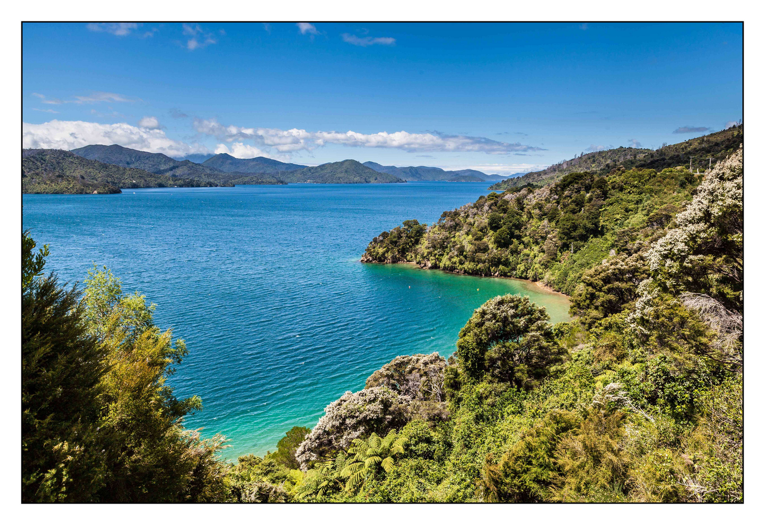 Queen Charlotte Drive