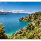 Queen Charlotte Drive