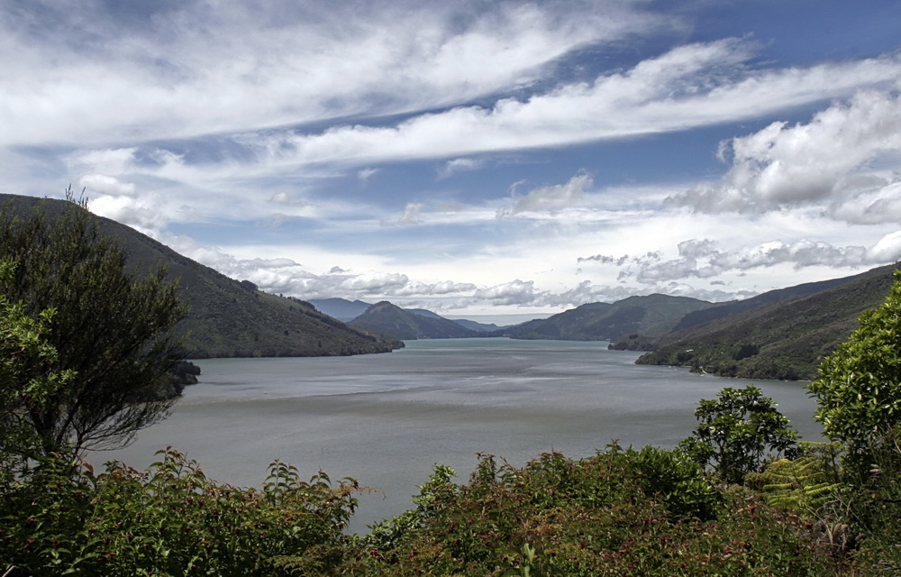 Queen Charlotte Sound