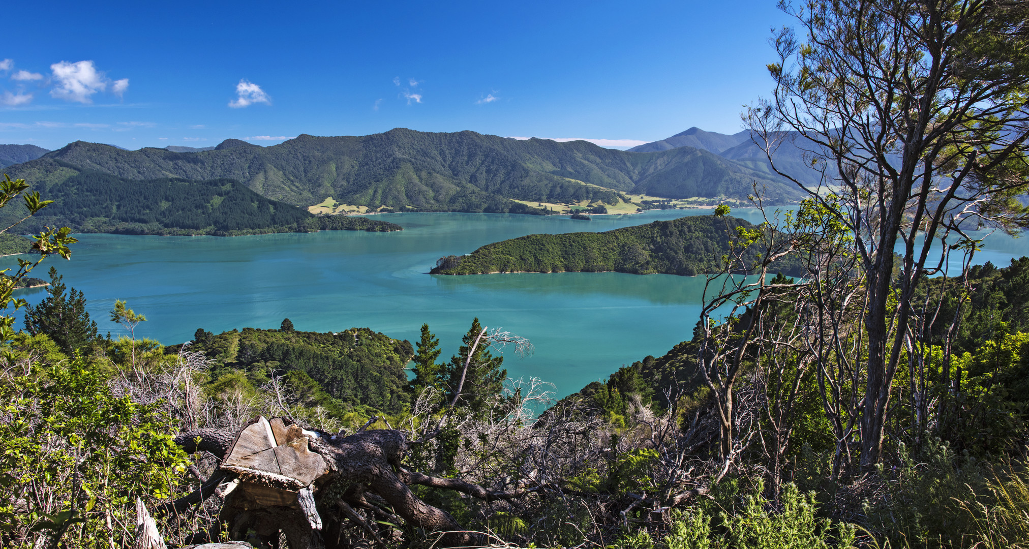 Queen Charlotte Track