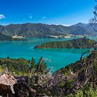 Queen Charlotte Track