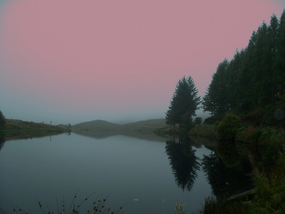 Queen Elizabeth Forest Scotland