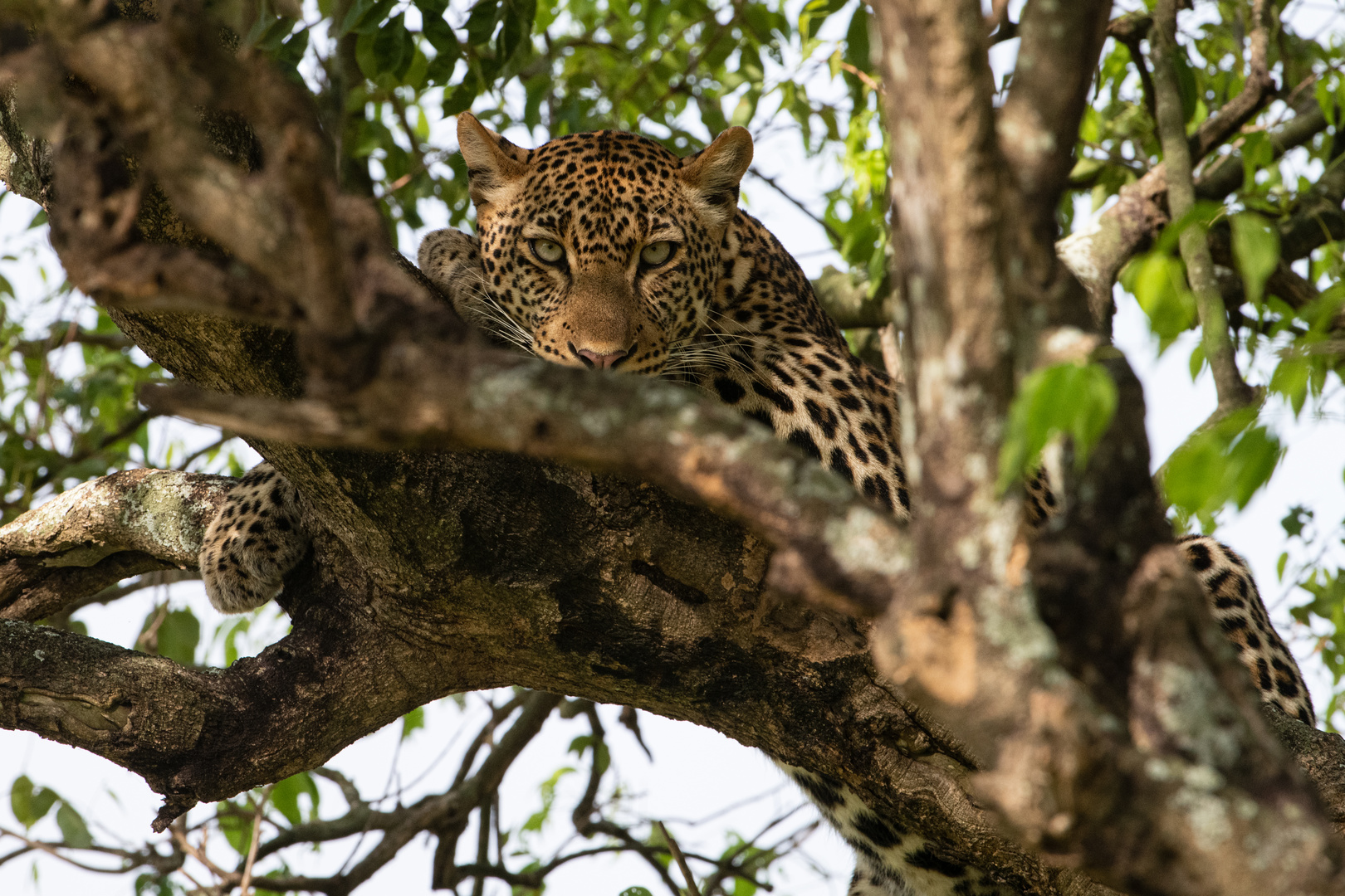 [ Queen Elizabeth National Park ] 