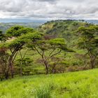 [ Queen Elizabeth National Park ]