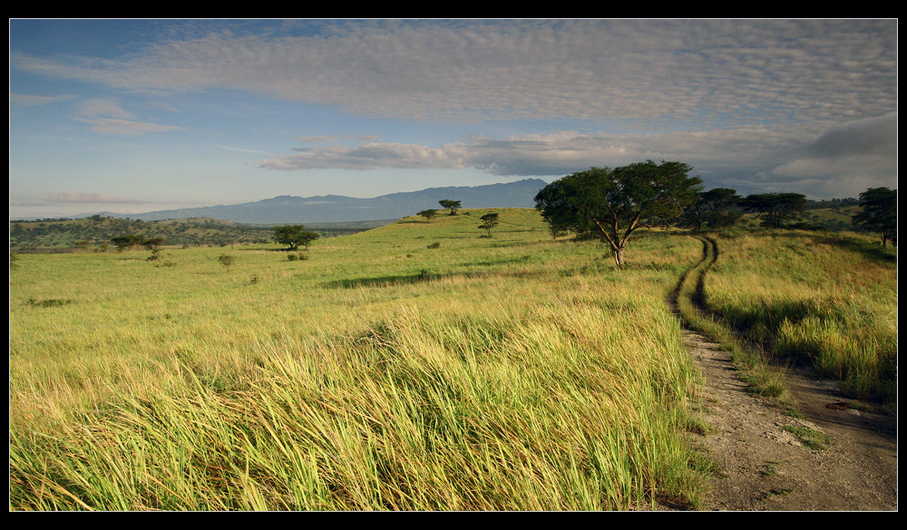 Queen Elizabeth Nationalpark, Uganda