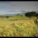 Queen Elizabeth Nationalpark, Uganda