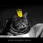 Queen Elizabeth the 8th