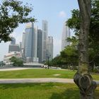 Queen Elizabeth Walk in Singapore