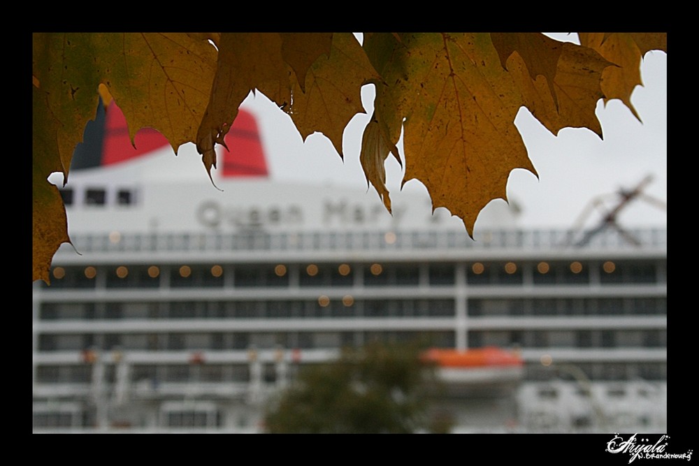 *+*Queen Mary 2 im herbstlichen Hamburg*+*